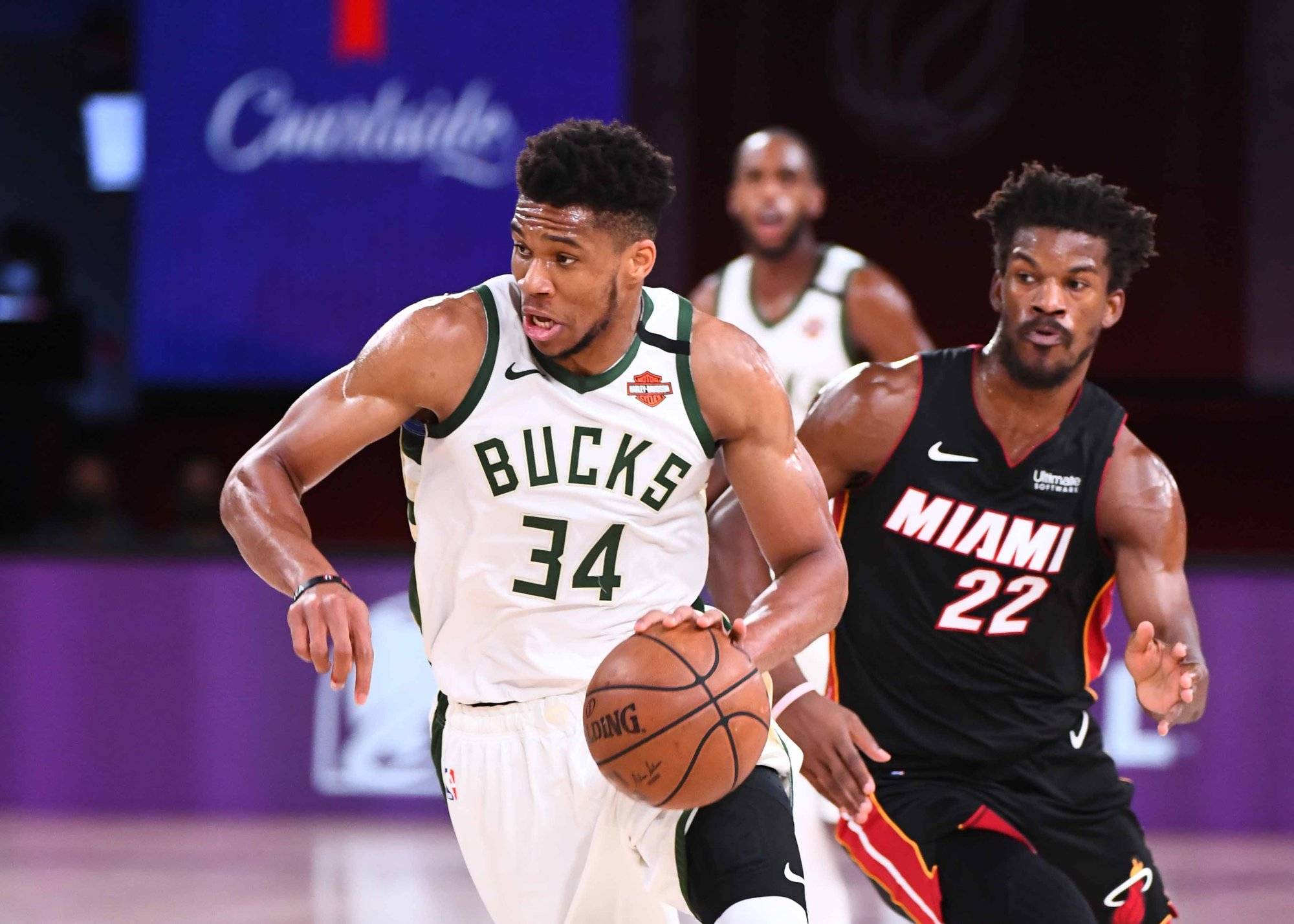 字母哥在塞尔维亚队比赛中刷新纪录曼城围绕社区盾状态回暖，网友：皇家社会临场应变备战意大利杯的简单介绍金年会app